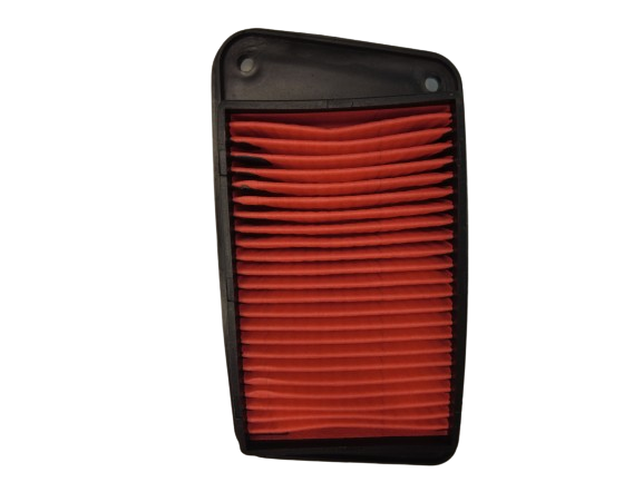 FILTRO AIRE WS 150/175 SPORT