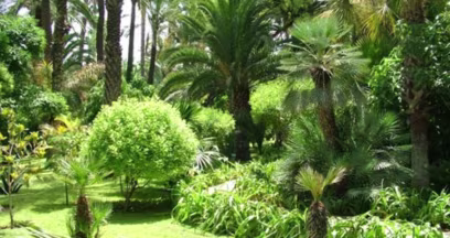 Agdal Gardens