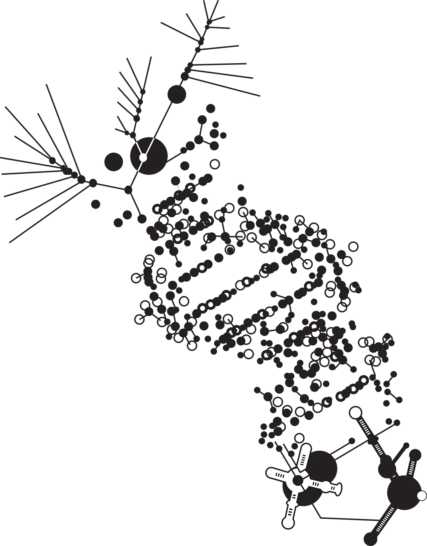 Cure Xchange Challenge Finalist Allagi.ai logo