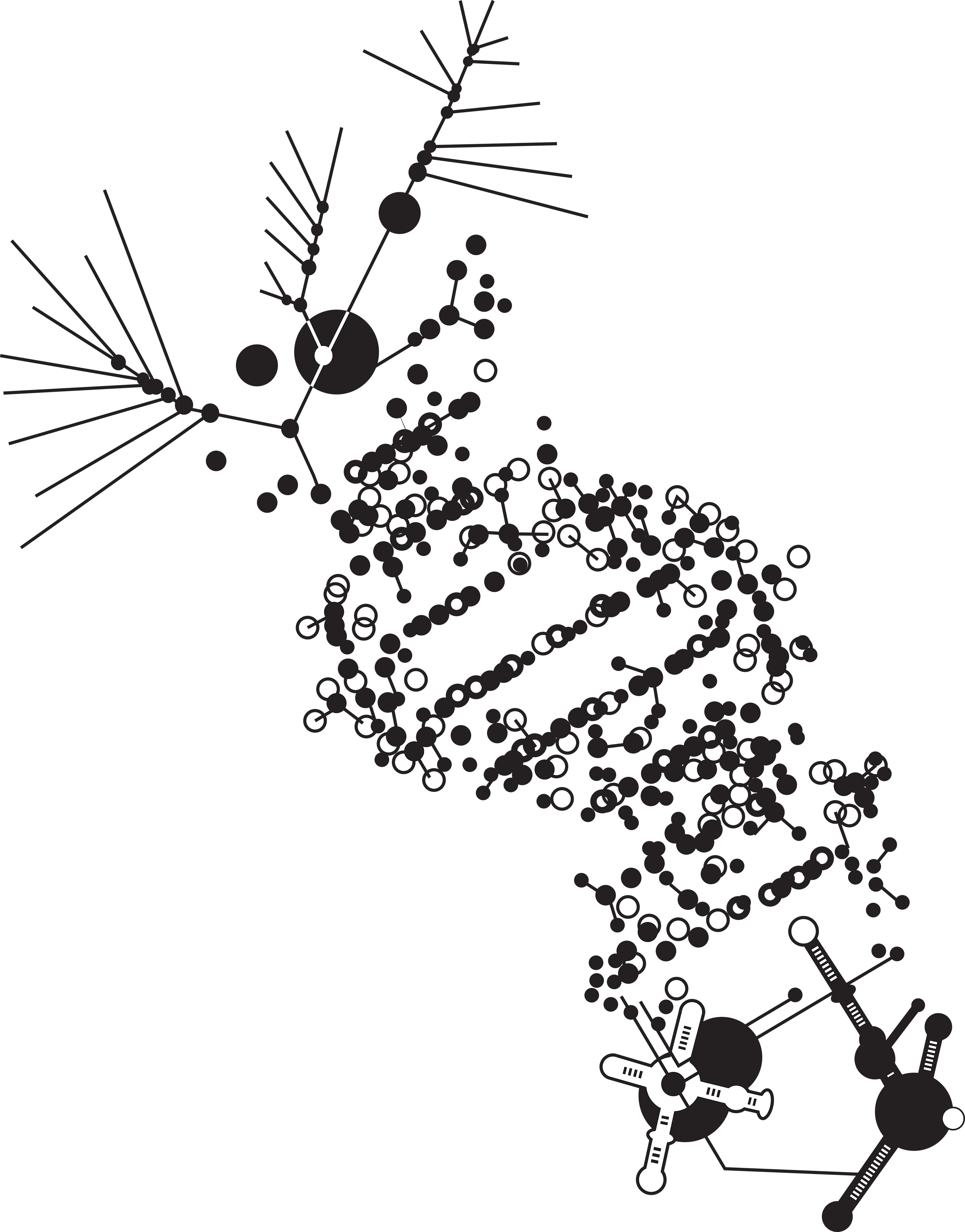 Cure Xchange Challenge Finalist Allagi.ai logo