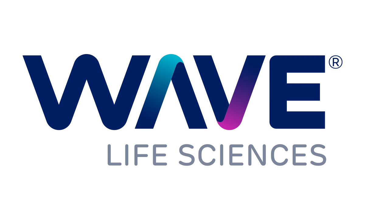 logo big 13 boston wave