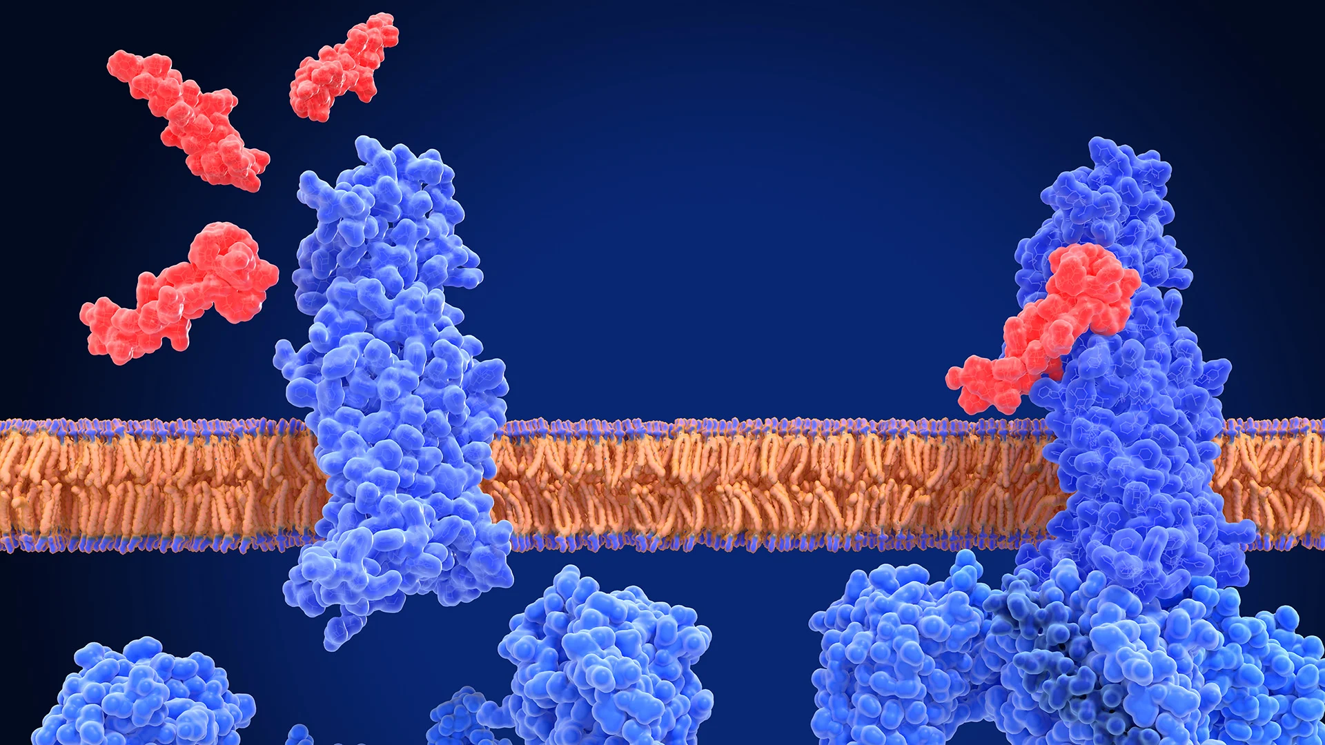 glp-1_glucose