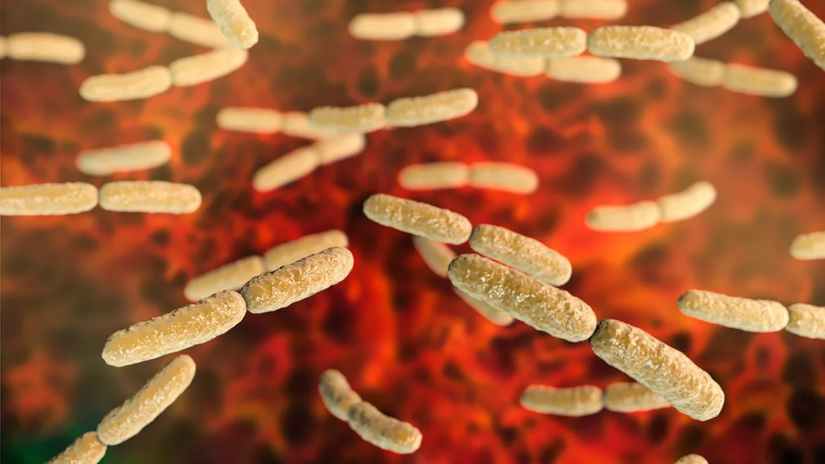 thumbnail How the Vaginal Microbiome May Improve Womens Healthcare