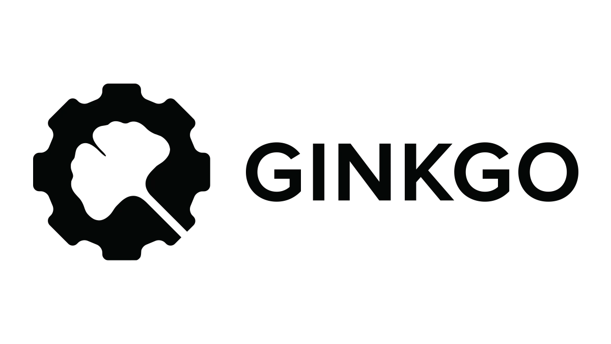 logo big 13 boston ginkgo