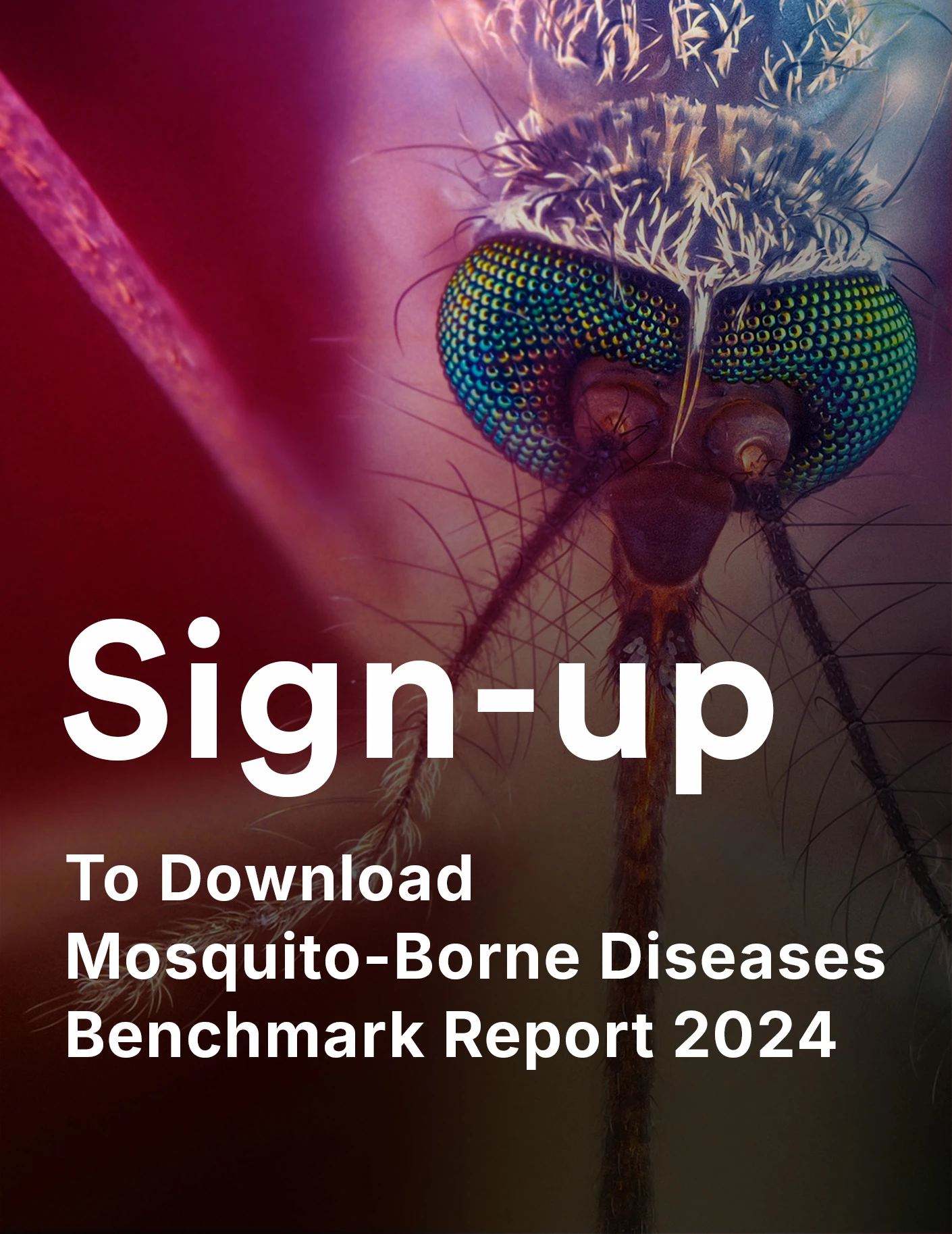 sign-up-mosquito-borne-illnesses-benchmark-report-2024