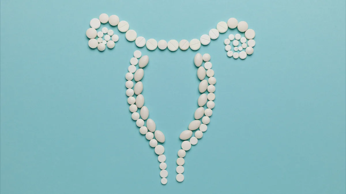 Menopause funding piece - Image