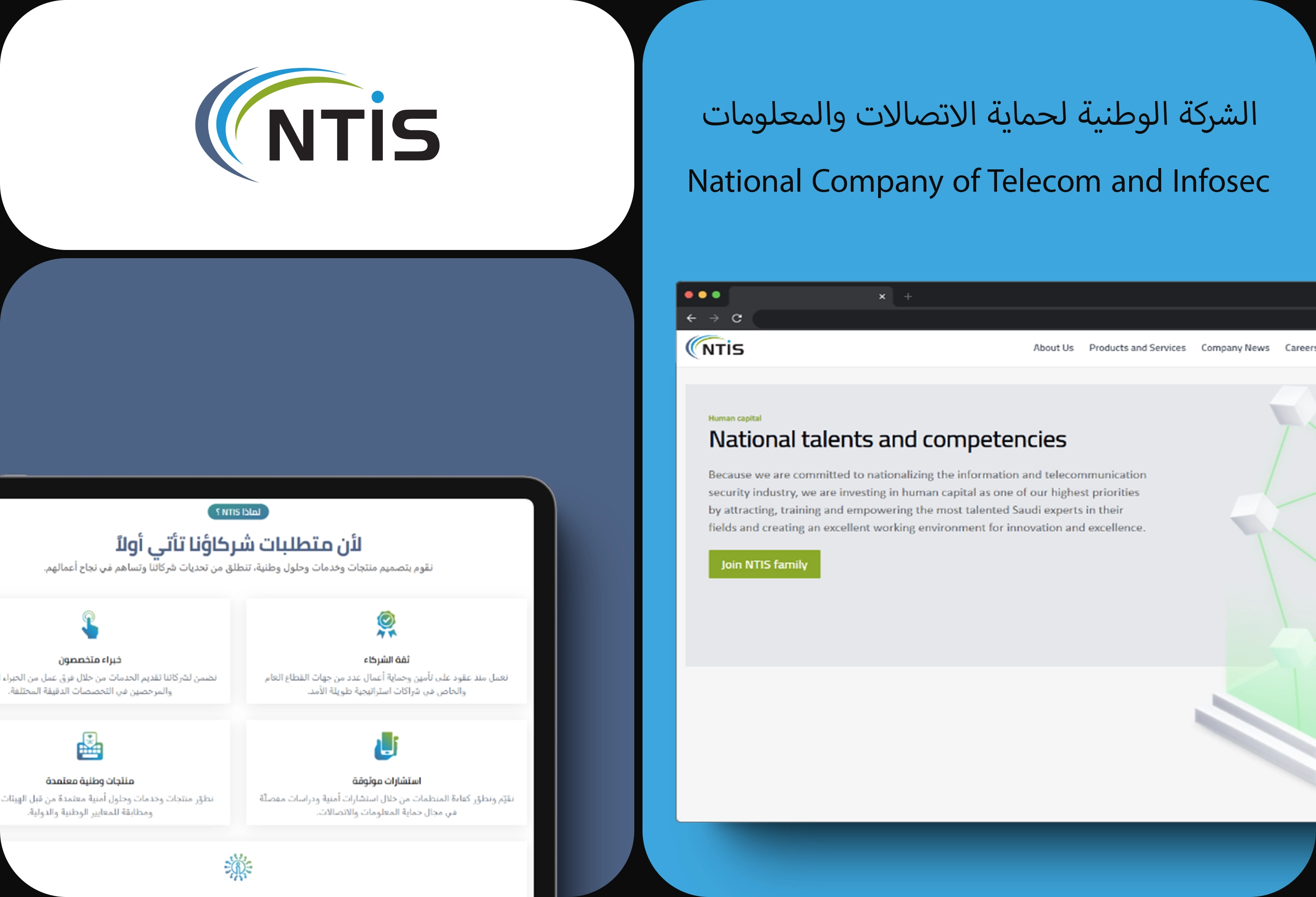 ntis summary cover