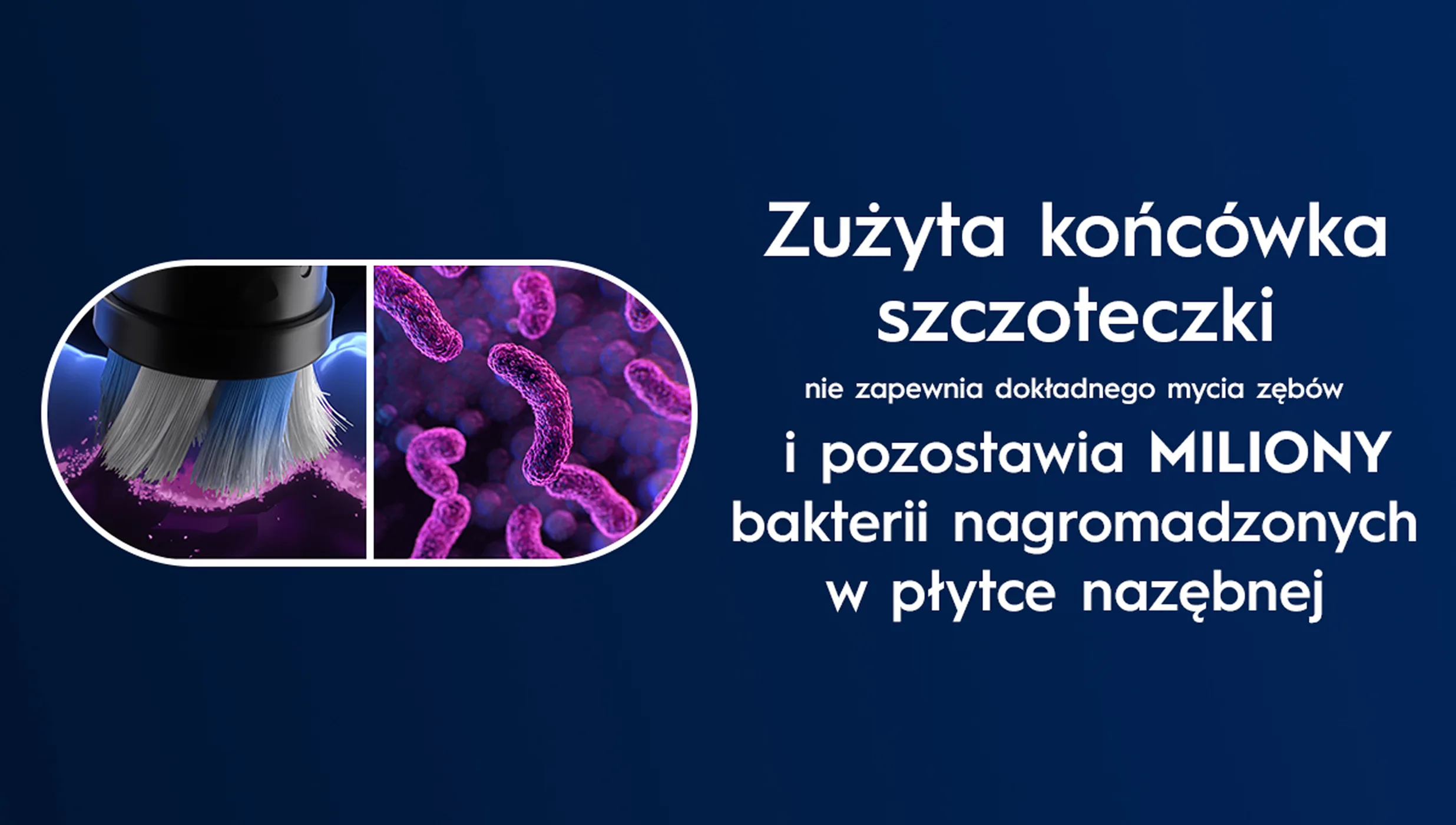 Zbliżenie na bakterie bytujące na zużytej końcówce, która nie zapewnia dokładnego mycia zębów. 