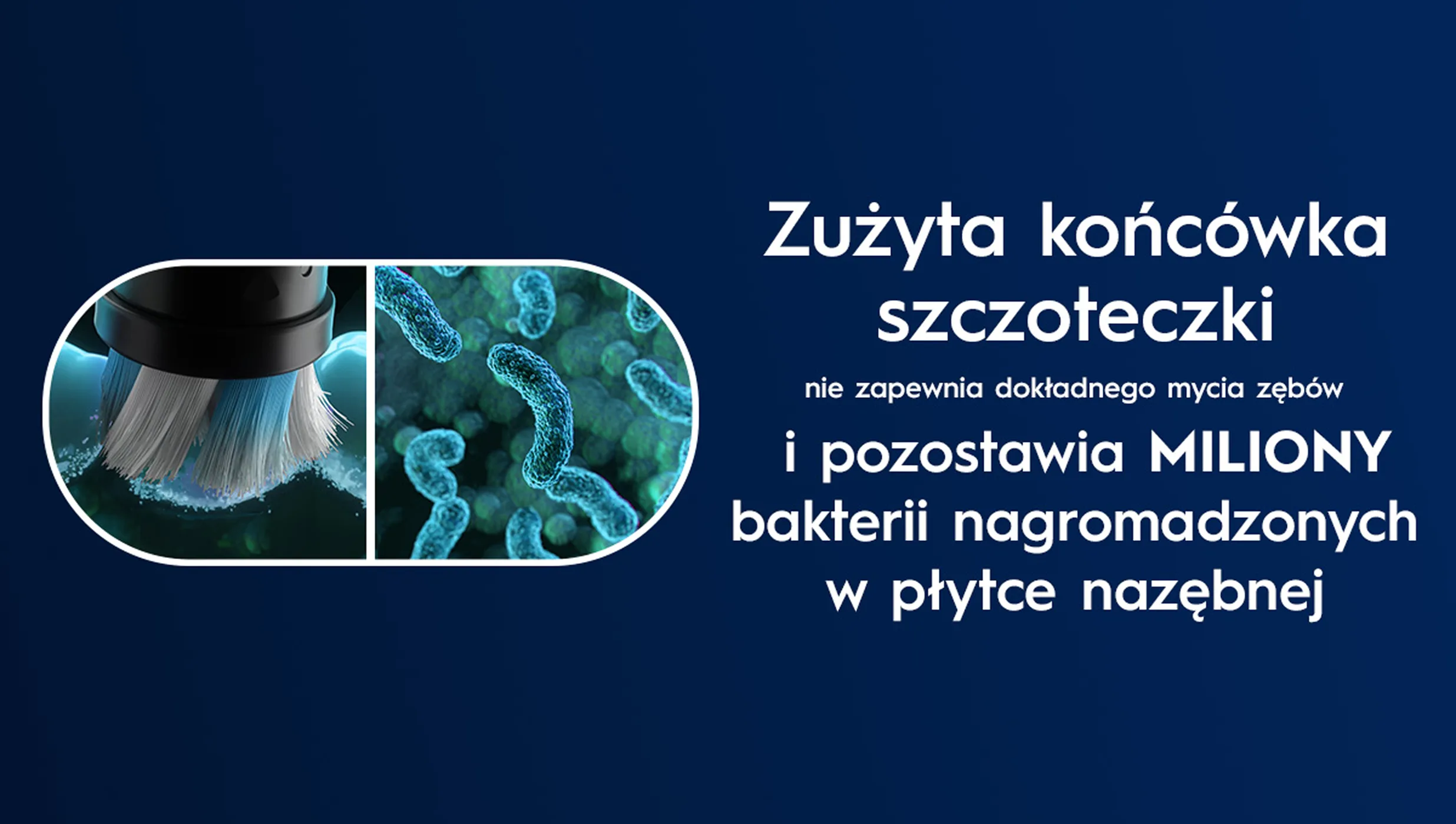 Zbliżenie na bakterie bytujące na zużytej końcówce, która nie zapewnia dokładnego mycia zębów. 