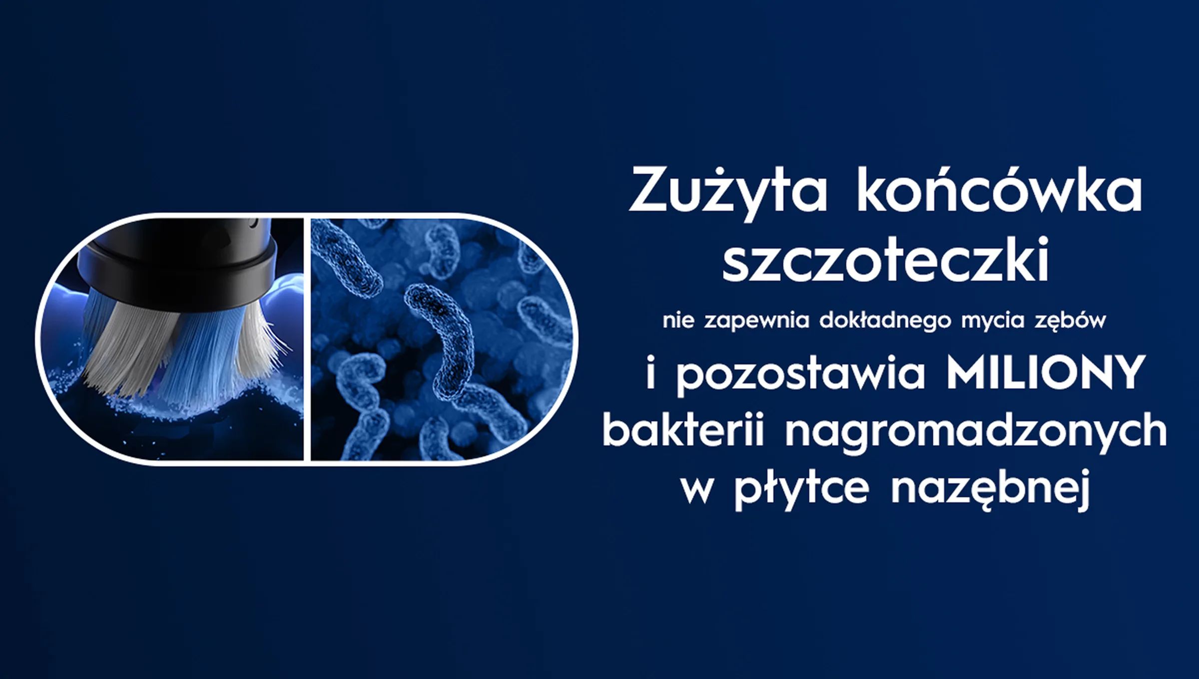 Zbliżenie na bakterie bytujące na zużytej końcówce, która nie zapewnia dokładnego mycia zębów. 