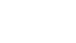 Boston Symphony Orchestra logo