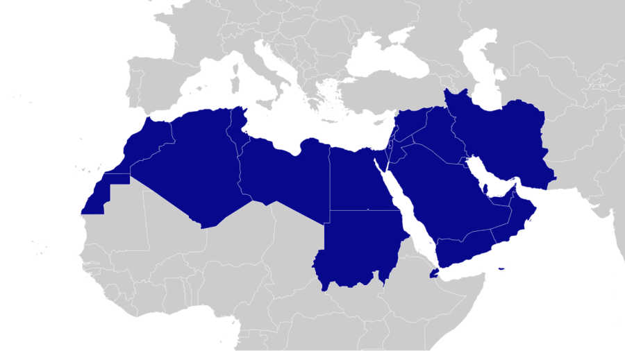 Middle East and North Africa (MENA) image