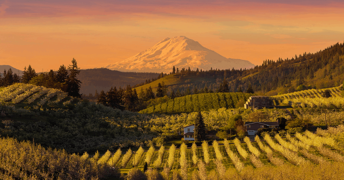 <figcaption>A view out to Mount Adam in the Cascade Range. <em>Image credit: thyegn/iStock</em></figcaption>