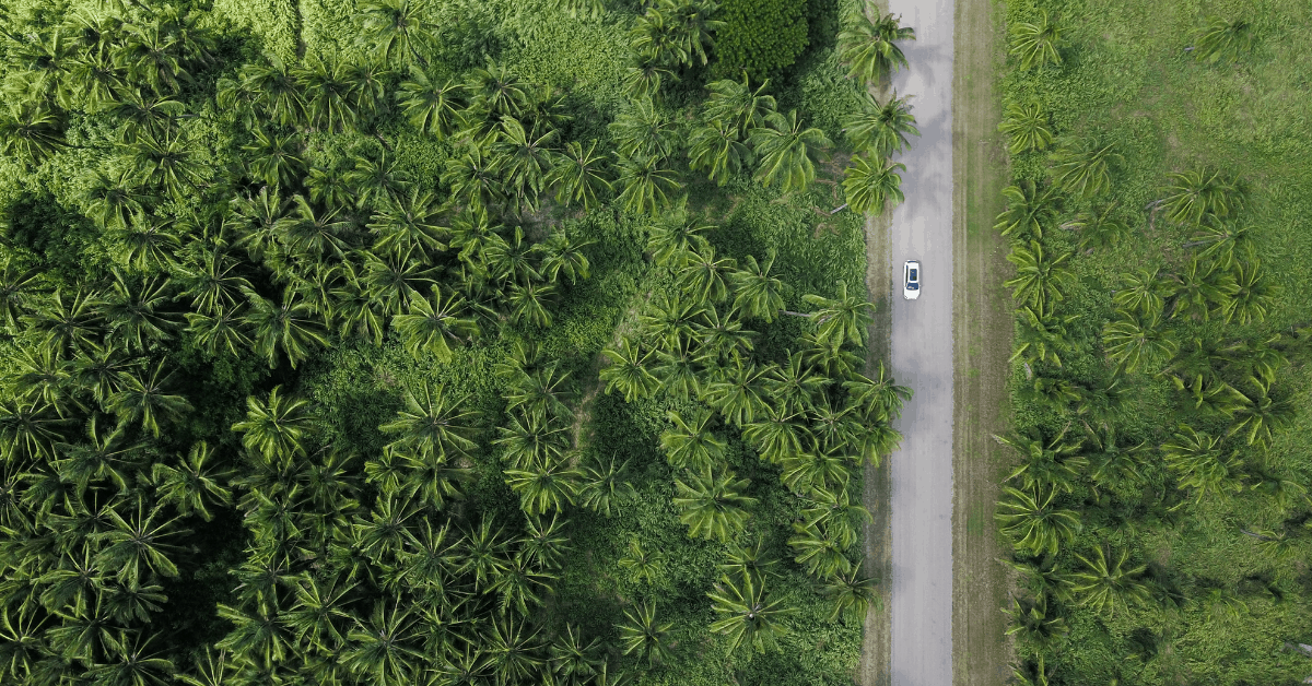 <figcaption class="wp-element-caption">Corporate responsibility is essential for building trust, enhancing reputation, and driving sustainable growth. <em>Image credit: Michael Olsen/Unsplash</em></figcaption>