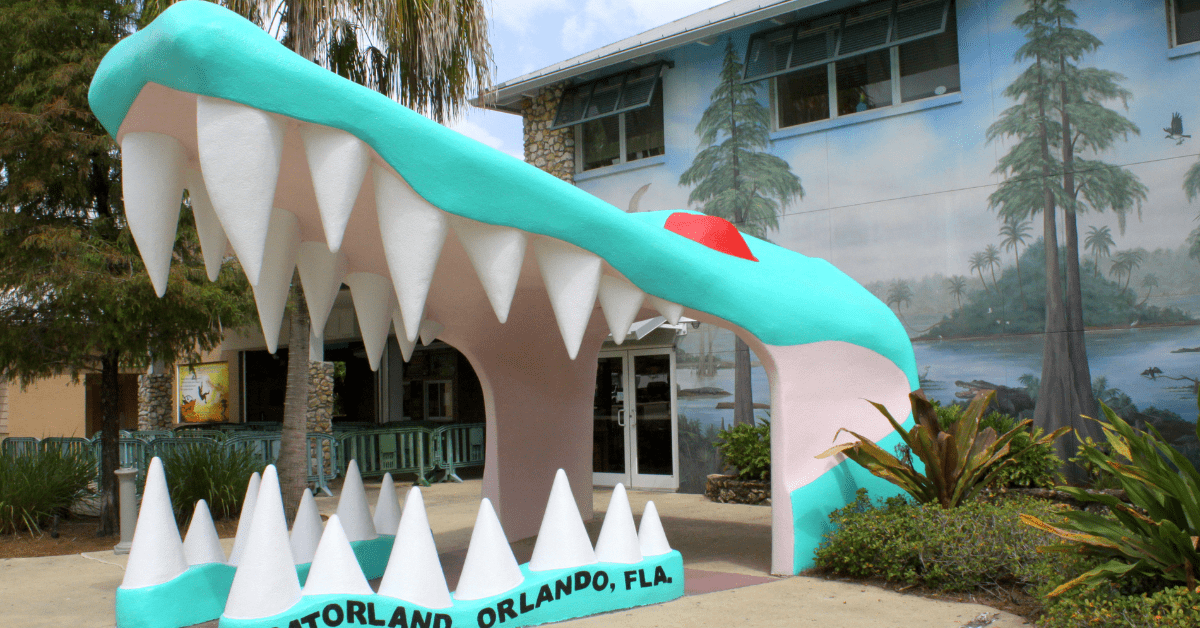 <figcaption class="wp-element-caption">Gatorland Orlando, Florida. <em>Image credit: Brent Moore/Flickr</em></figcaption>