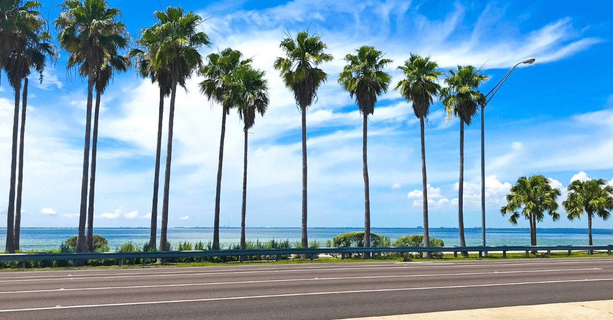 Florida Snowbirds - A Guide to Winter Harmony