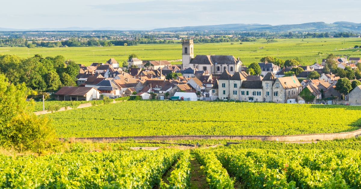 <figcaption class="wp-element-caption">Beaune, Burgundy, France. <em>Image credit:Voyagerix/Gettyimages</em></figcaption>