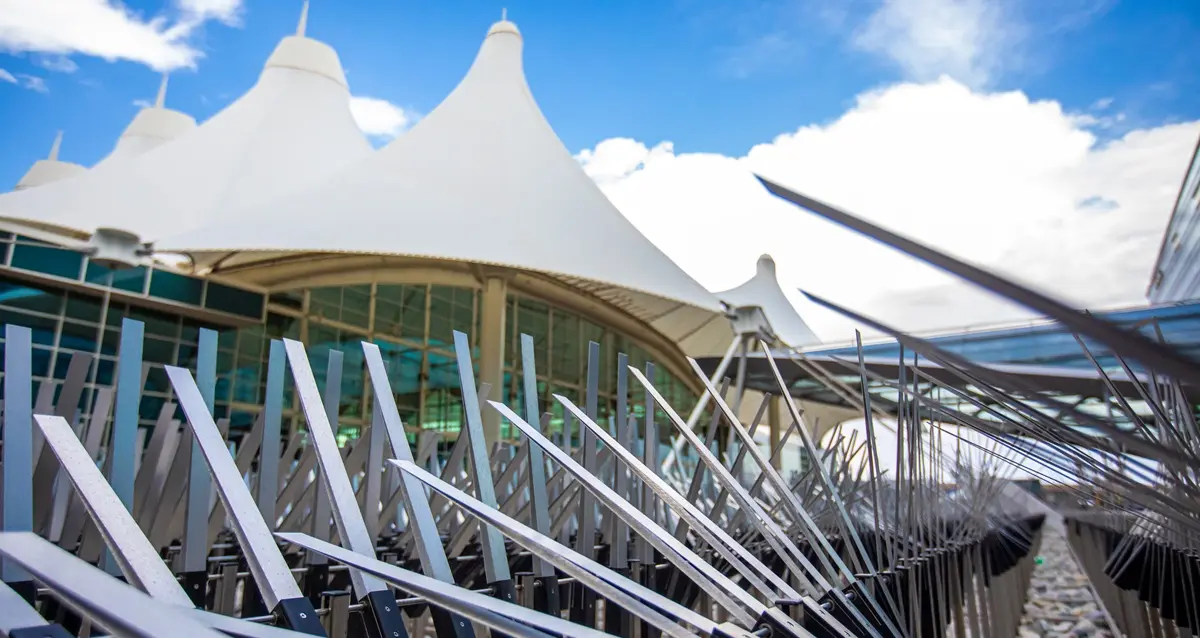 The 2026 Guide to Denver Airport (DEN) Lounges