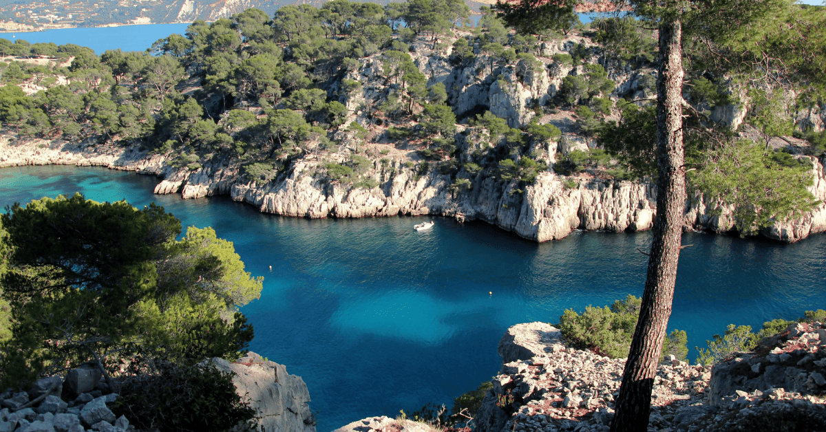 <figcaption class="wp-element-caption">Calanque de Port Pin, Marseille, France. <em>Image credit: Wikimedia </em></figcaption>