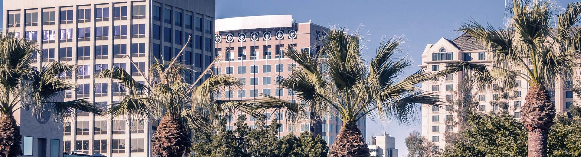 Edificios genéricos de San José en un día caluroso y despejado, con palmeras en primer plano.