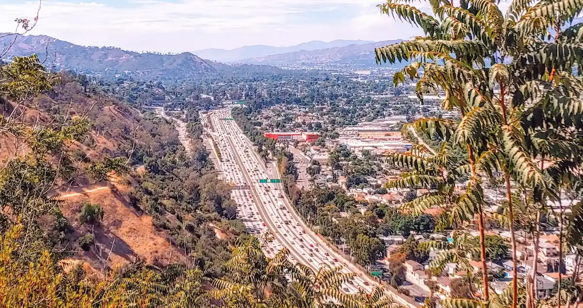 View of Interstate-5 from Elysian Park in Los Angeles with a palm tree in the foreground.


