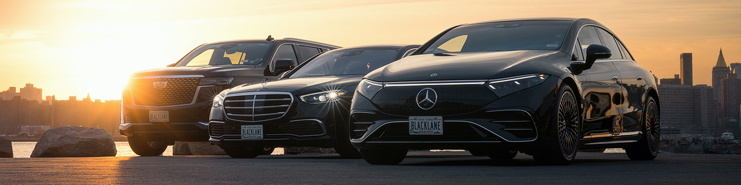 Tesla and Mercedes sedan and van next to each other at sunset