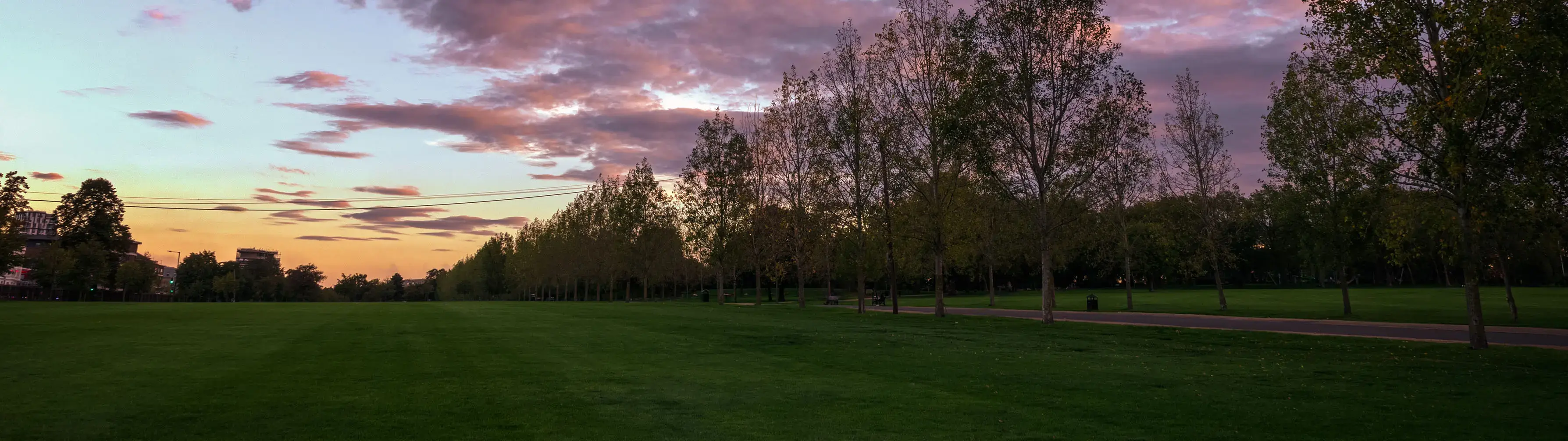 Finsbury Park at sunset.