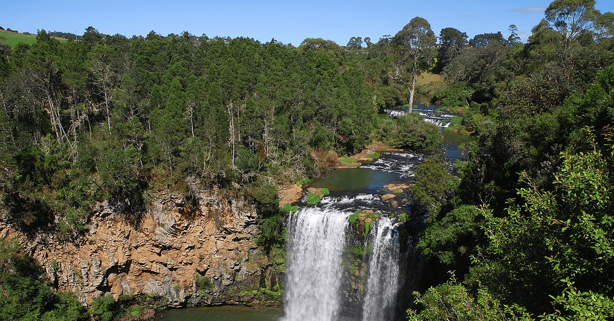 <figcaption class="wp-element-caption">Dangar Falls, Dorrigo, Australia. <em>Image credit: Wikimedia</em></figcaption>