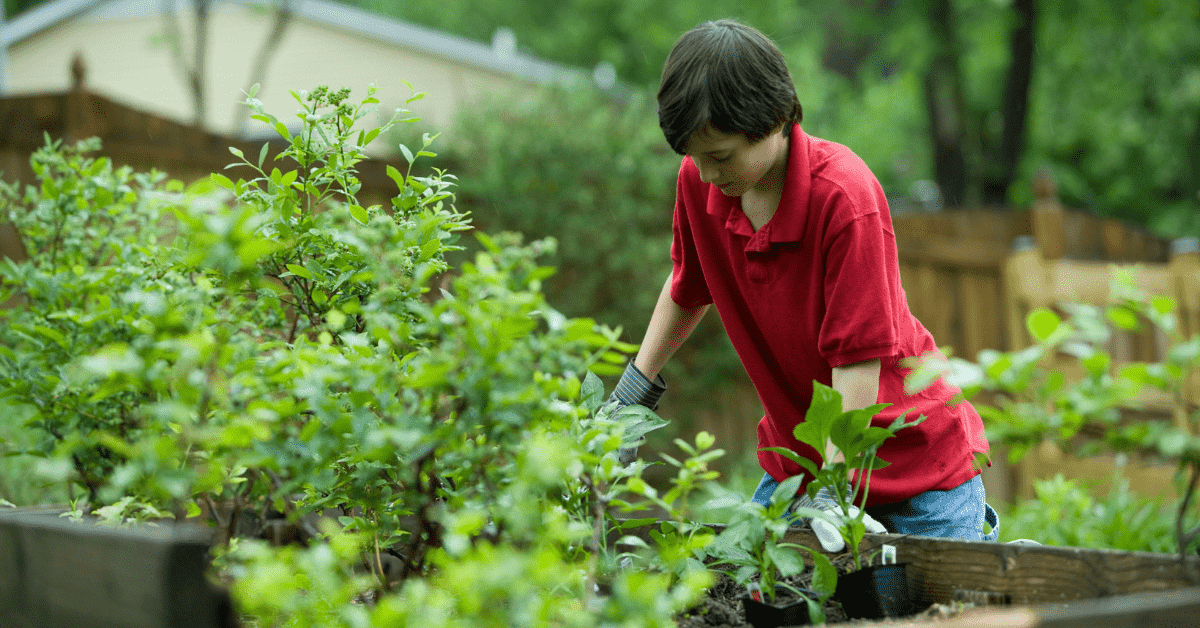 Leading by example: women at the forefront of environmental protection and advocacy