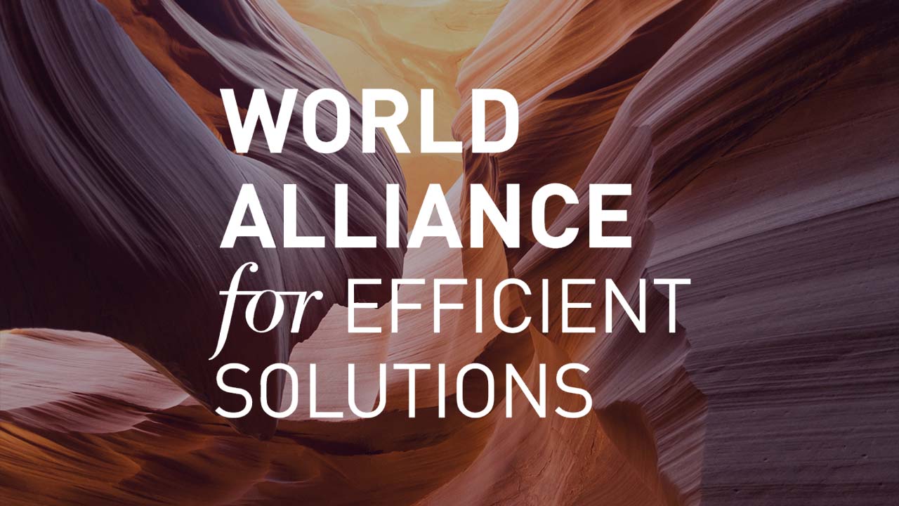 The logo for World Alliance for Efficient Solutions.