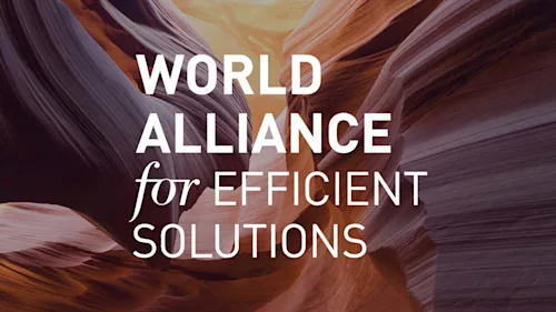 The logo for World Alliance for Efficient Solutions.