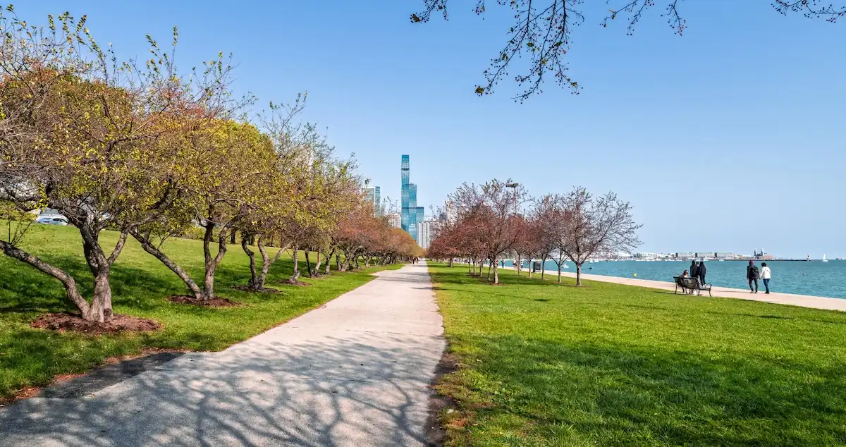 Perspective of the Chicago skyline seen from the lakefront walking trail, with trees, green grass, and skyscrapers in the background under a partly cloudy sky.