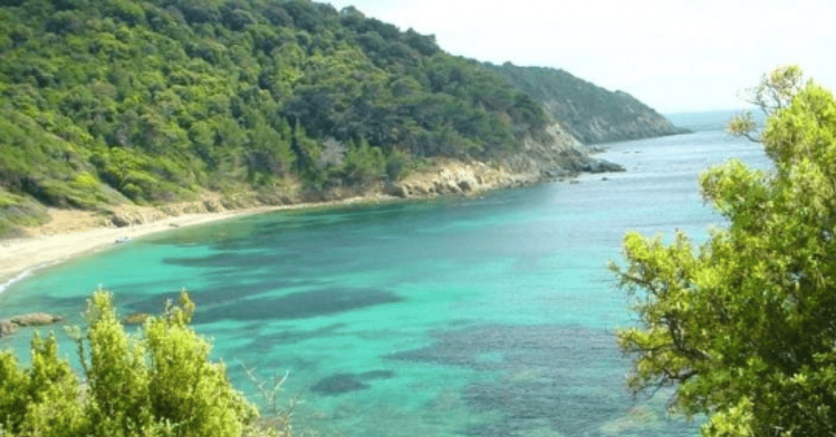 <figcaption class="wp-element-caption">Pampelonne Beach, Saint Tropez, France. <em>Image credit: Wikimedia</em></figcaption>