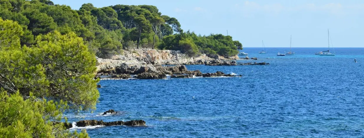 A shot of the coastline around Cannes, France, showing forests and rocks and yachts in the background.