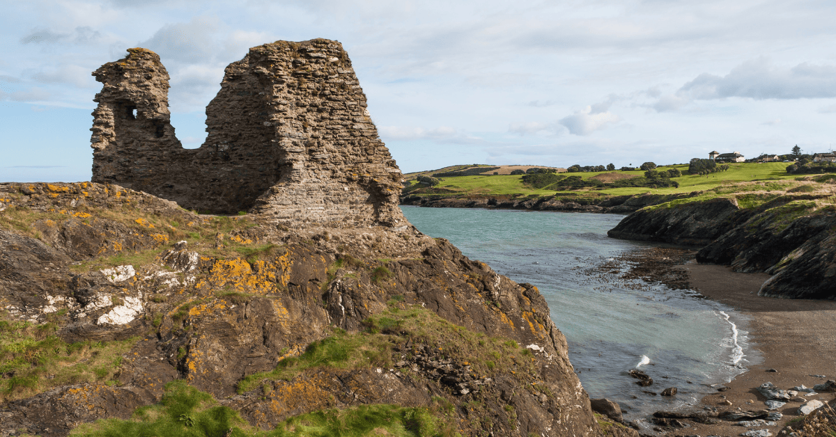 <figcaption class="wp-element-caption">Black Castle, in the town of Wicklow in County Wicklow, Ireland. <em>Image credit: Wikimedia</em></figcaption>