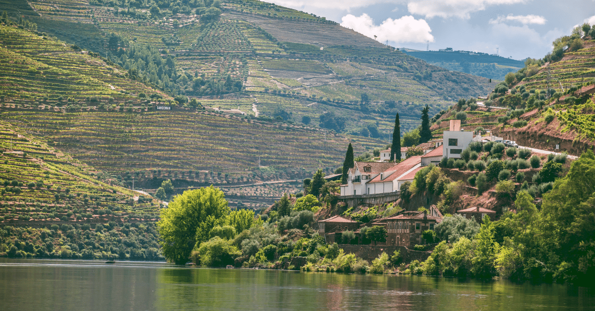 <figcaption class="wp-element-caption">Vineyards in the Douro Valley. <em>Image credit: Rach Sam/Unsplash</em></figcaption>