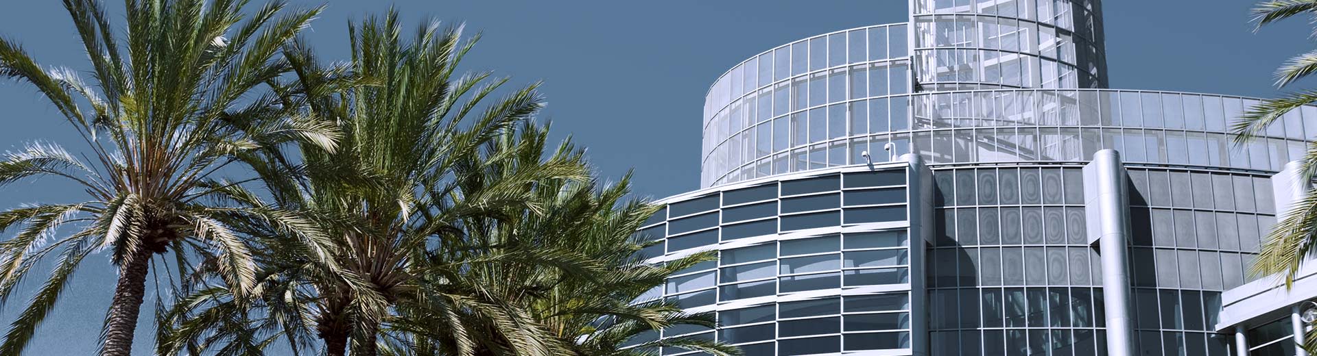 Ciel bleu en arrière-plan avec des palmiers typiques au premier plan. Un bâtiment se dresse à droite.