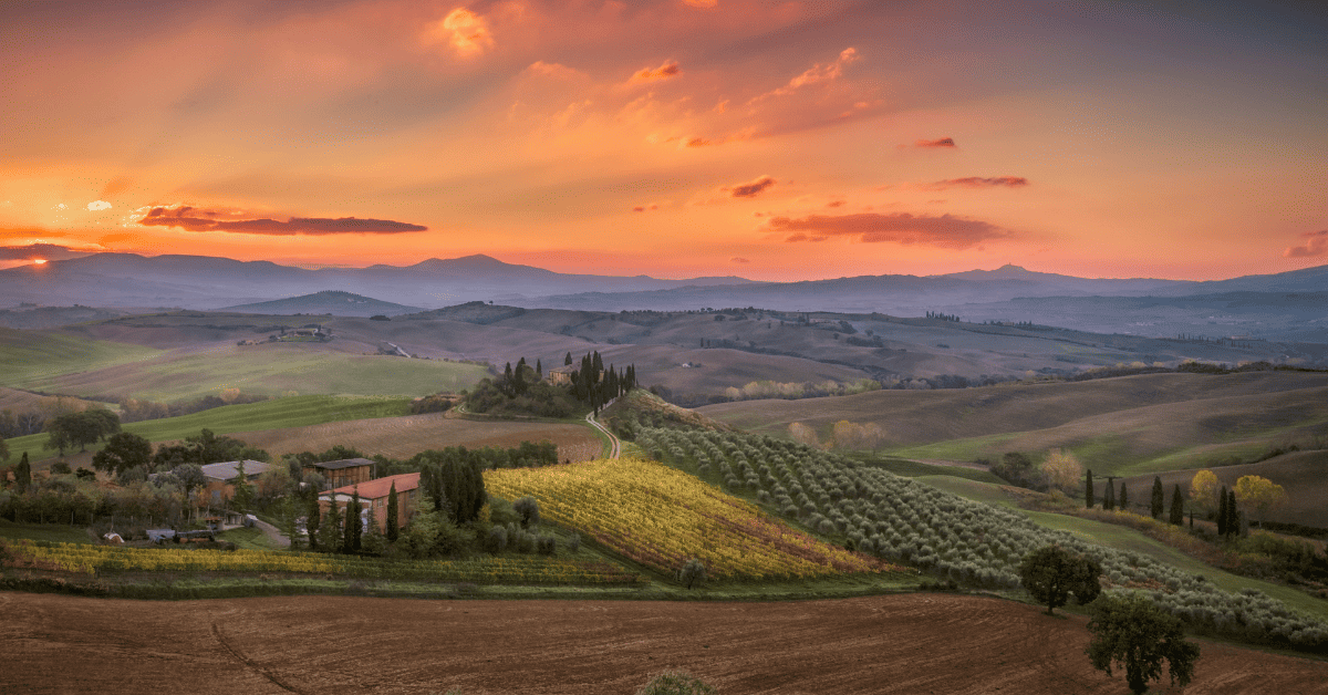 <figcaption class="wp-element-caption">Olive trees and vineyards in Tuscany at sunrise. <em>Image credit: Diana Robinson/Flickr</em></figcaption>