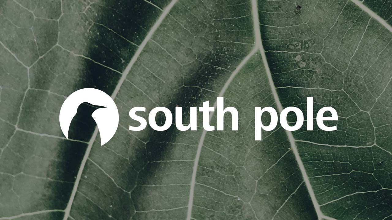 The logo for South Pole.