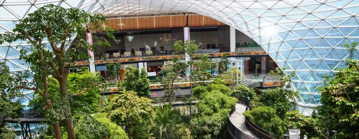 Shot from above of The Orchard area of Hamad Airport Doha, with a walkway winding through trees.