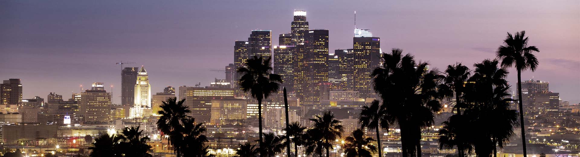 Las palmeras por la noche y los rascacielos del centro de Los Ángeles iluminan el cielo.