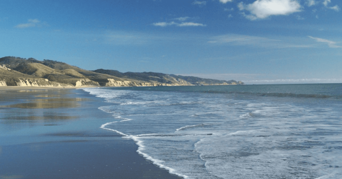 <figcaption class="wp-element-caption">Limantour Beach. <em>Image credit: Tom Spaulding/Flickr</em></figcaption>