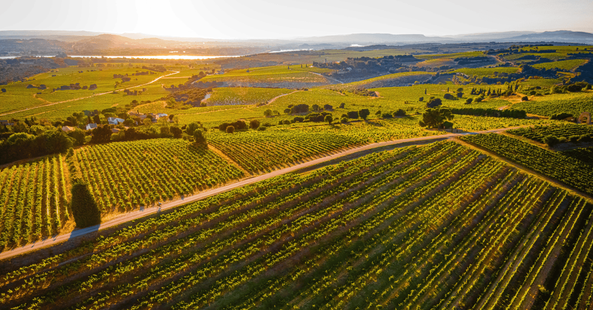 <figcaption class="wp-element-caption">Chateauneuf-du-Pape, Marseille, France. <em>Image credit: Alexey_Fedoren/Gettyimages</em></figcaption>