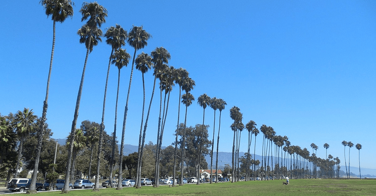 <figcaption class="wp-element-caption">Santa Barbara East Beach Park. <em>Image credit: Wikimedia</em></figcaption>