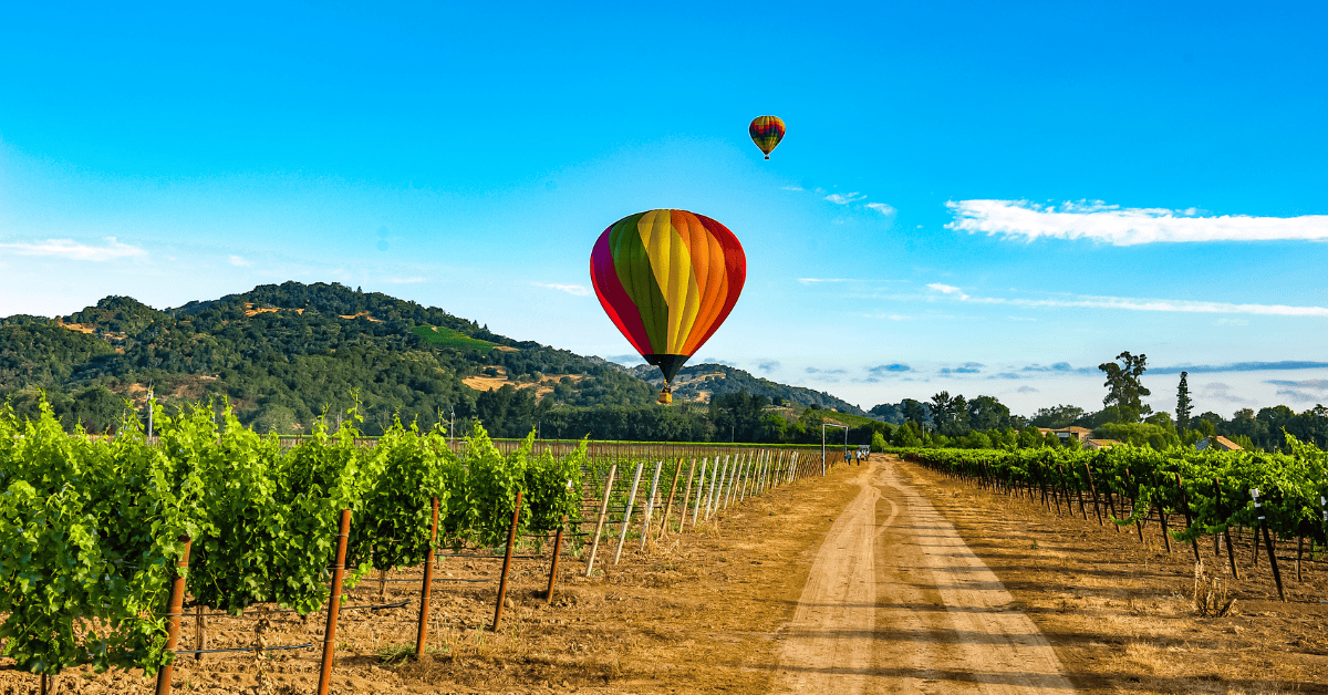 <figcaption class="wp-element-caption">Napa, San Francisco, U.S. <em>Image credit: Judd Brotman/Gettyimages</em></figcaption>