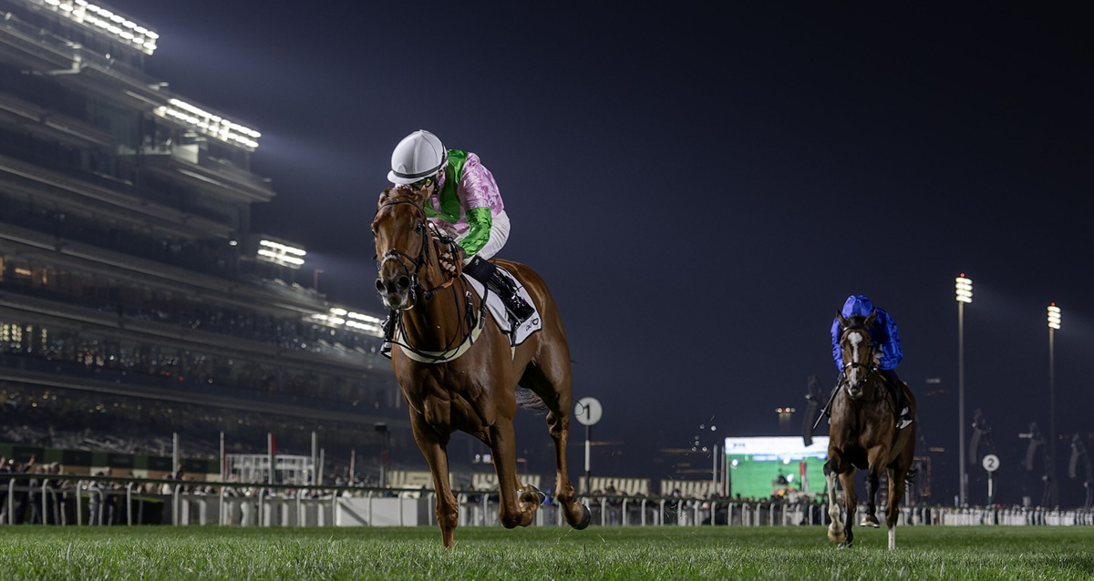 A First-Timer’s Guide To The Dubai World Cup