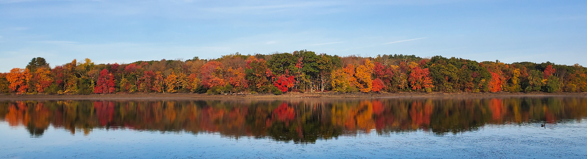 Trees of differing shades of green, yellow, red and brown stand by a body of water in Greenwich, CT.