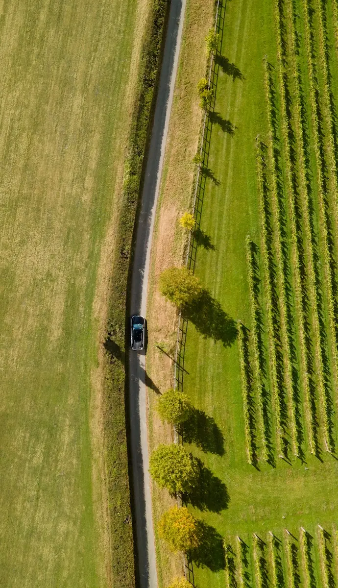 Overhead shot of a Blacklane car driving along a countryside road with a green field on one side and vines on the other.