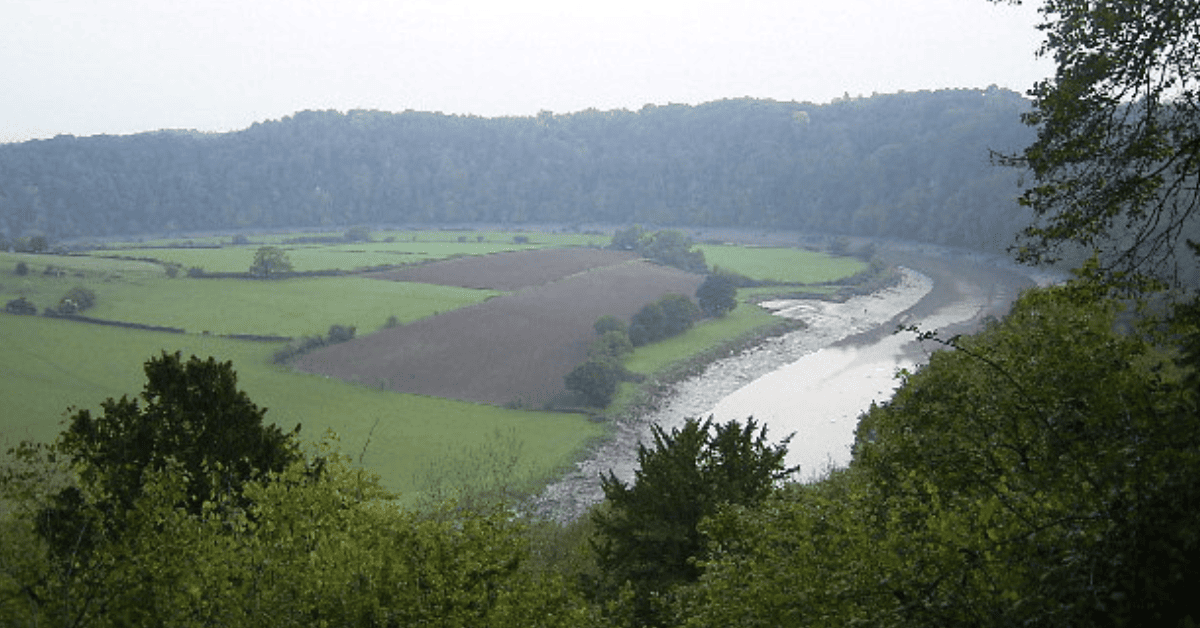 <figcaption class="wp-element-caption">Wye Valley from Lower Wyndcliff Wood, Uk. <em>Image credit: Wikimedia</em></figcaption>