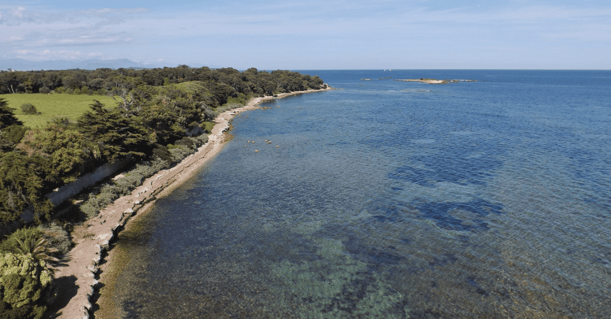 <figcaption class="wp-element-caption">Île Saint-Honorat offers a serene and historic island getaway near Cannes. <em>Image credit: Wikimedia</em></figcaption>